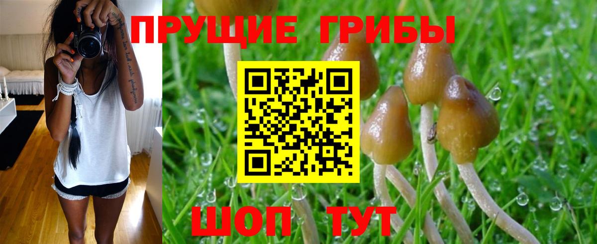 купить закладку  Псилоцибиновые грибы Psilocybine cubensis  Первоуральск  Вход с VPN  Псилоцибиновые грибы Cubensis 